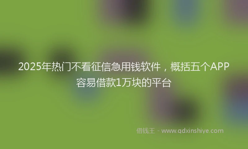2025年热门不看征信急用钱软件，概括五个APP容易借款1万块的平台