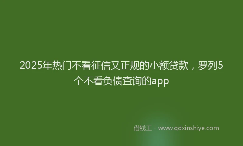 2025年热门不看征信又正规的小额贷款，罗列5个不看负债查询的app