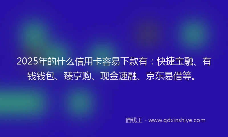 2025年的什么信用卡容易下款有：快捷宝融、有钱钱包、臻享购、现金速融、京东易借等。