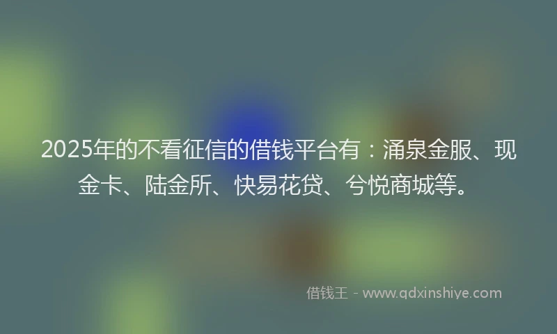 2025年的不看征信的借钱平台有：涌泉金服、现金卡、陆金所、快易花贷、兮悦商城等。