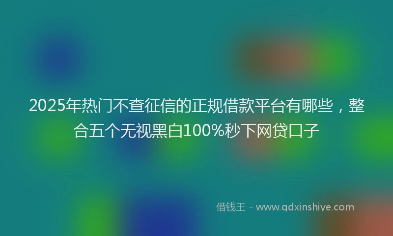 2025年热门不查征信的正规借款平台有哪些，整合五个无视黑白100%秒下网贷口子