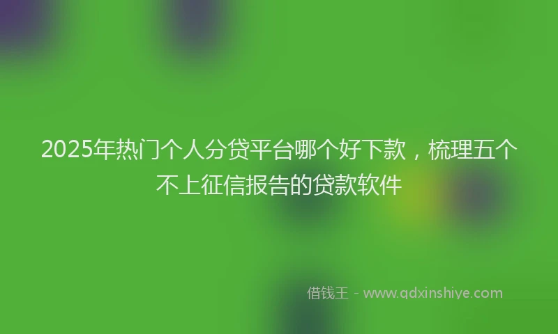 2025年热门个人分贷平台哪个好下款，梳理五个不上征信报告的贷款软件