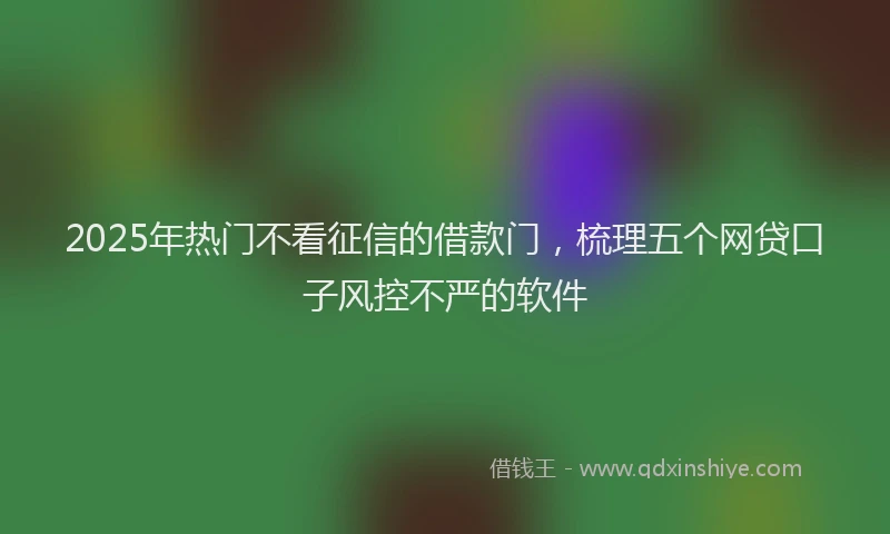 2025年热门不看征信的借款门，梳理五个网贷口子风控不严的软件