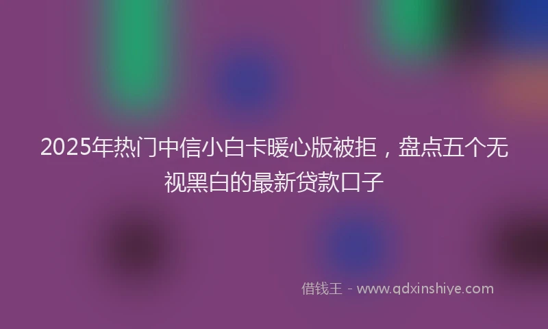 2025年热门中信小白卡暖心版被拒，盘点五个无视黑白的最新贷款口子