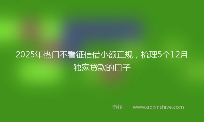 2025年热门不看征信借小额正规，梳理5个12月独家贷款的口子