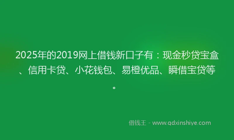 2025年的2019网上借钱新口子有：现金秒贷宝盒、信用卡贷、小花钱包、易橙优品、瞬借宝贷等。