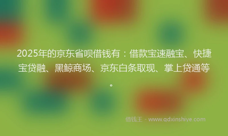 2025年的京东省呗借钱有：借款宝速融宝、快捷宝贷融、黑鲸商场、京东白条取现、掌上贷通等。