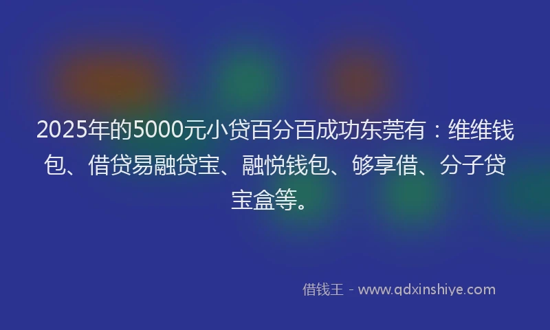 2025年的5000元小贷百分百成功东莞有：维维钱包、借贷易融贷宝、融悦钱包、够享借、分子贷宝盒等。