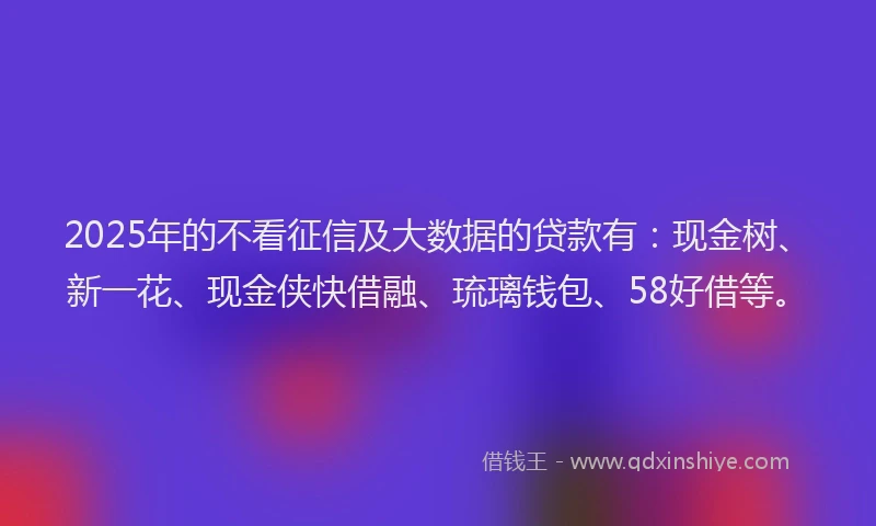 2025年的不看征信及大数据的贷款有：现金树、新一花、现金侠快借融、琉璃钱包、58好借等。