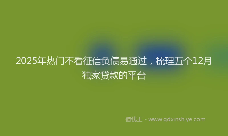 2025年热门不看征信负债易通过，梳理五个12月独家贷款的平台