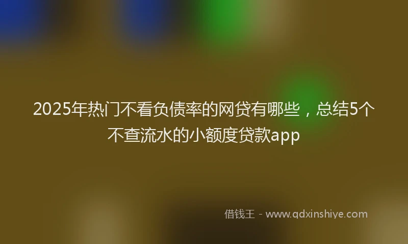 2025年热门不看负债率的网贷有哪些，总结5个不查流水的小额度贷款app