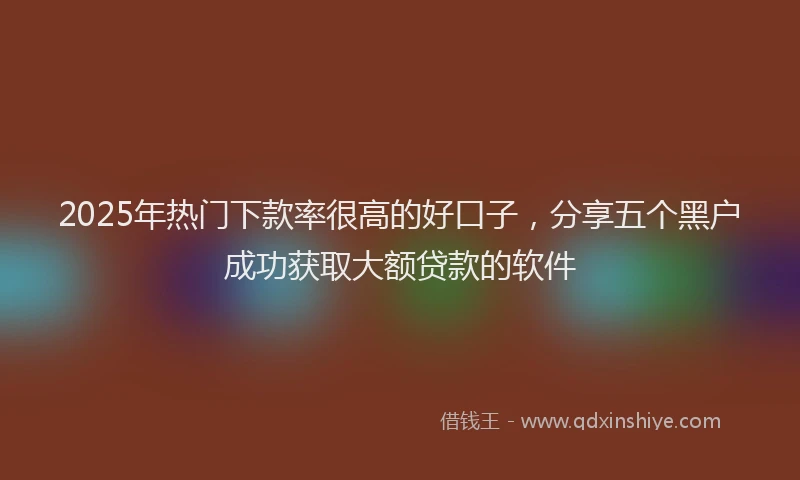 2025年热门下款率很高的好口子，分享五个黑户成功获取大额贷款的软件