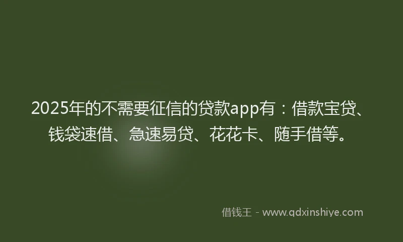 2025年的不需要征信的贷款app有：借款宝贷、钱袋速借、急速易贷、花花卡、随手借等。