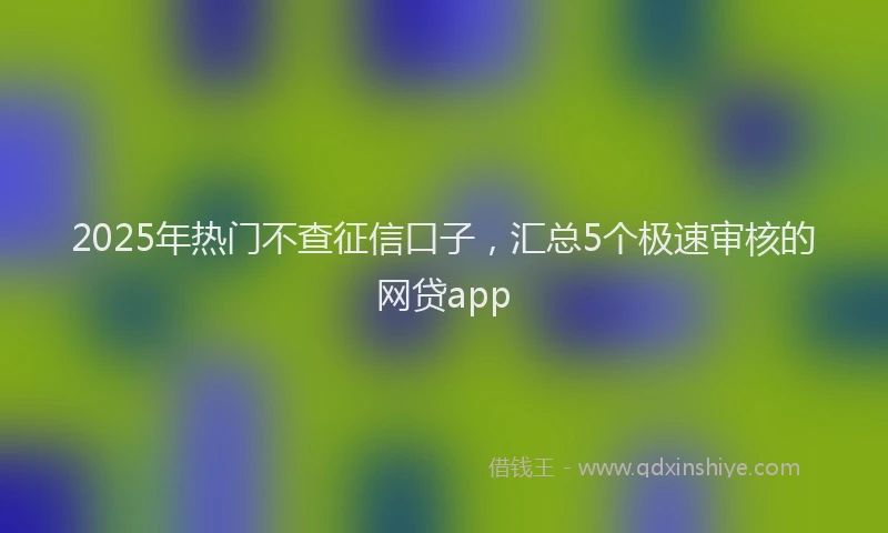 2025年热门不查征信口子，汇总5个极速审核的网贷app