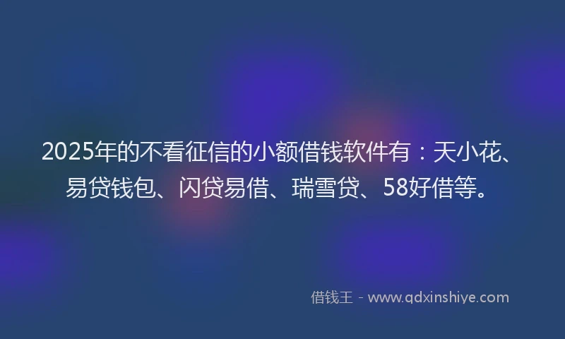 2025年的不看征信的小额借钱软件有：天小花、易贷钱包、闪贷易借、瑞雪贷、58好借等。