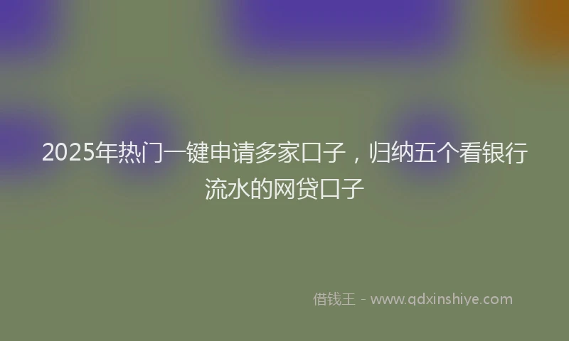 2025年热门一键申请多家口子，归纳五个看银行流水的网贷口子