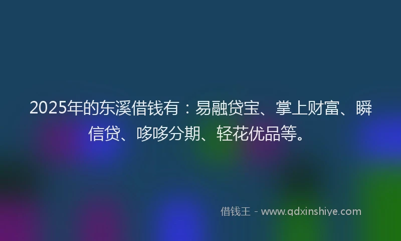 2025年的东溪借钱有：易融贷宝、掌上财富、瞬信贷、哆哆分期、轻花优品等。