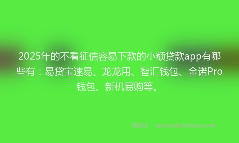 2025年的不看征信容易下款的小额贷款app有哪些有：易贷宝速易、龙龙用、智汇钱包、金诺Pro钱包、新机易购等。