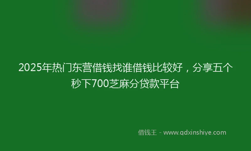 2025年热门东营借钱找谁借钱比较好，分享五个秒下700芝麻分贷款平台