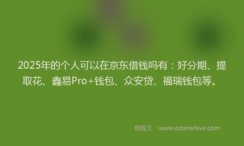 2025年的个人可以在京东借钱吗有：好分期、提取花、鑫易Pro+钱包、众安贷、福瑞钱包等。