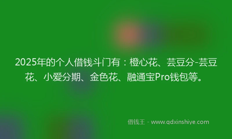 2025年的个人借钱斗门有：橙心花、芸豆分-芸豆花、小爱分期、金色花、融通宝Pro钱包等。