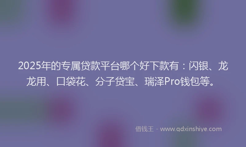 2025年的专属贷款平台哪个好下款有：闪银、龙龙用、口袋花、分子贷宝、瑞泽Pro钱包等。
