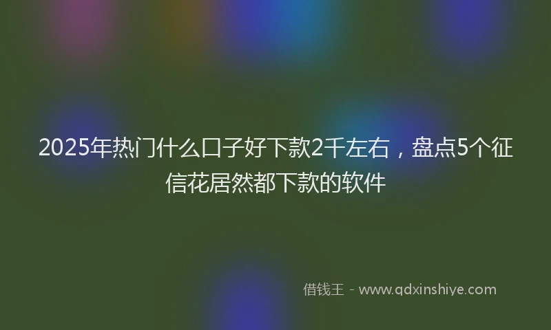 2025年热门什么口子好下款2千左右，盘点5个征信花居然都下款的软件