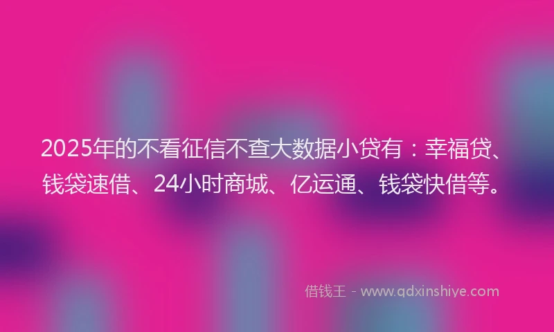 2025年的不看征信不查大数据小贷有：幸福贷、钱袋速借、24小时商城、亿运通、钱袋快借等。