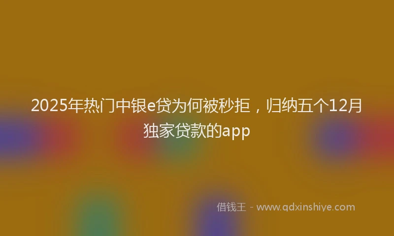 2025年热门中银e贷为何被秒拒，归纳五个12月独家贷款的app