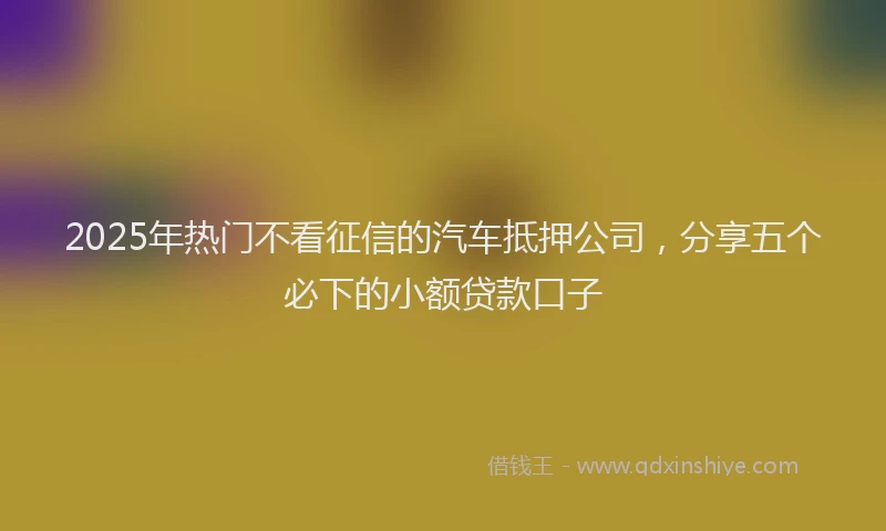 2025年热门不看征信的汽车抵押公司，分享五个必下的小额贷款口子