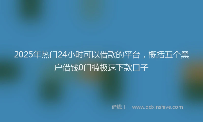 2025年热门24小时可以借款的平台，概括五个黑户借钱0门槛极速下款口子