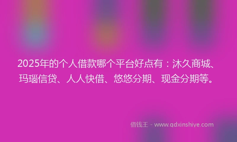 2025年的个人借款哪个平台好点有：沐久商城、玛瑙信贷、人人快借、悠悠分期、现金分期等。