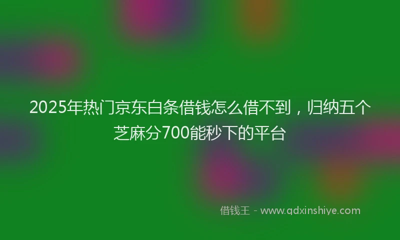 2025年热门京东白条借钱怎么借不到，归纳五个芝麻分700能秒下的平台