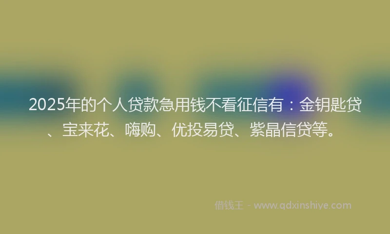 2025年的个人贷款急用钱不看征信有：金钥匙贷、宝来花、嗨购、优投易贷、紫晶信贷等。