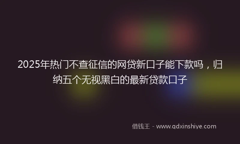 2025年热门不查征信的网贷新口子能下款吗，归纳五个无视黑白的最新贷款口子