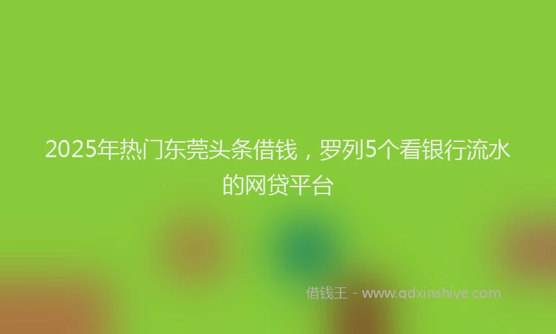 2025年热门东莞头条借钱，罗列5个看银行流水的网贷平台