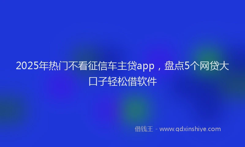 2025年热门不看征信车主贷app，盘点5个网贷大口子轻松借软件