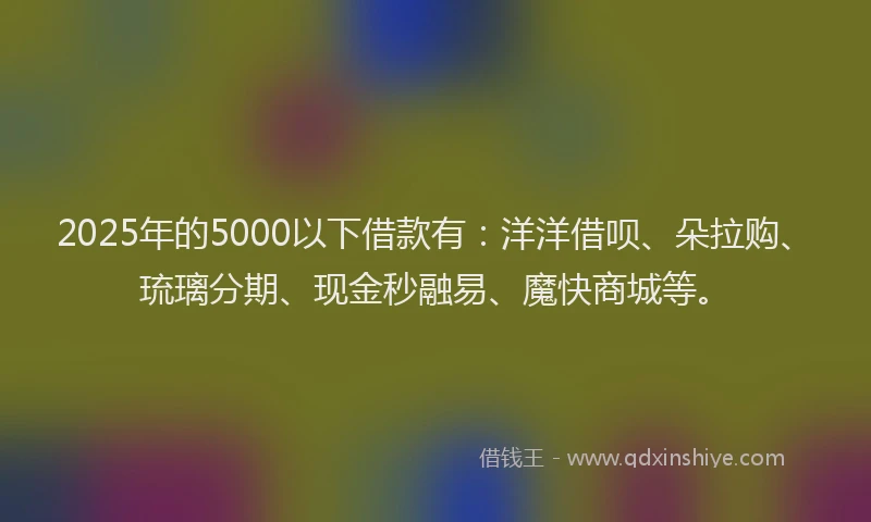 2025年的5000以下借款有：洋洋借呗、朵拉购、琉璃分期、现金秒融易、魔快商城等。