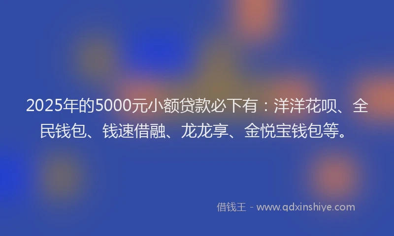 2025年的5000元小额贷款必下有：洋洋花呗、全民钱包、钱速借融、龙龙享、金悦宝钱包等。