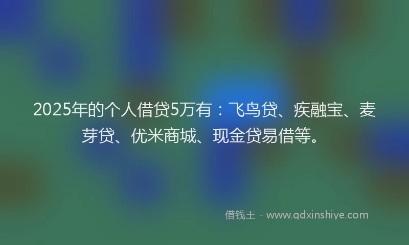 2025年的个人借贷5万有：飞鸟贷、疾融宝、麦芽贷、优米商城、现金贷易借等。