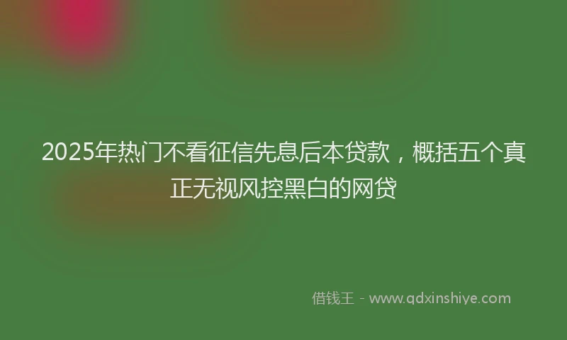 2025年热门不看征信先息后本贷款，概括五个真正无视风控黑白的网贷