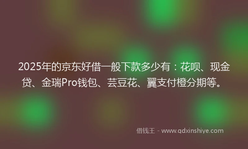 2025年的京东好借一般下款多少有：花呗、现金贷、金瑞Pro钱包、芸豆花、翼支付橙分期等。
