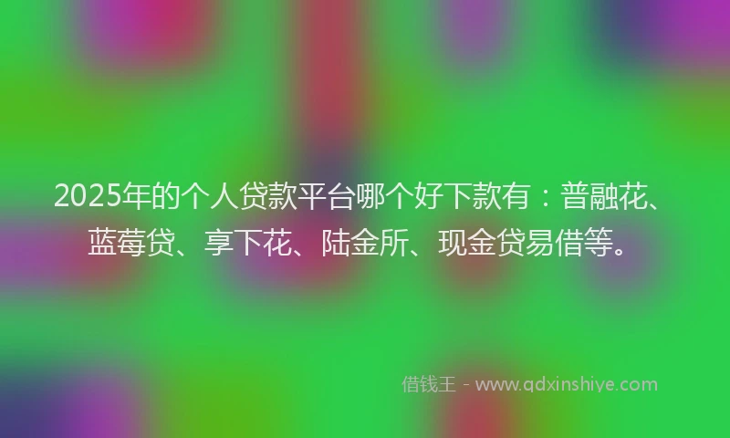 2025年的个人贷款平台哪个好下款有：普融花、蓝莓贷、享下花、陆金所、现金贷易借等。
