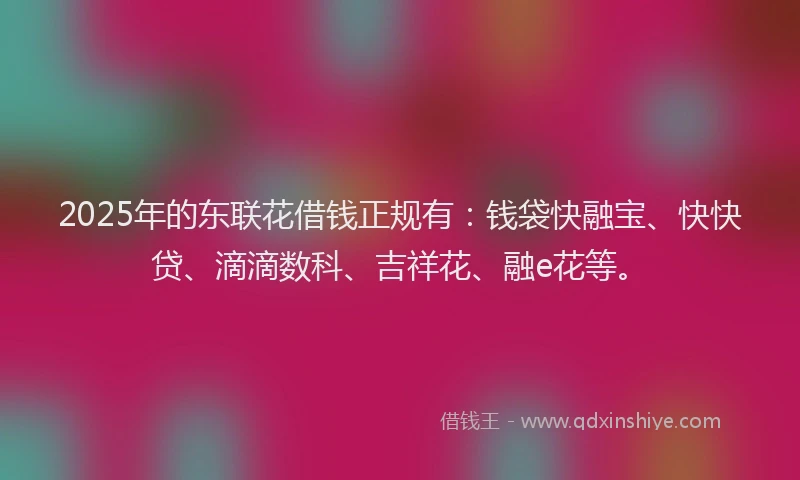 2025年的东联花借钱正规有：钱袋快融宝、快快贷、滴滴数科、吉祥花、融e花等。