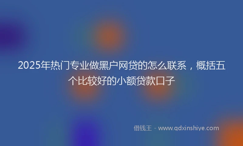 2025年热门专业做黑户网贷的怎么联系，概括五个比较好的小额贷款口子