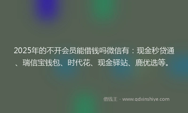 2025年的不开会员能借钱吗微信有：现金秒贷通、瑞信宝钱包、时代花、现金驿站、鹿优选等。