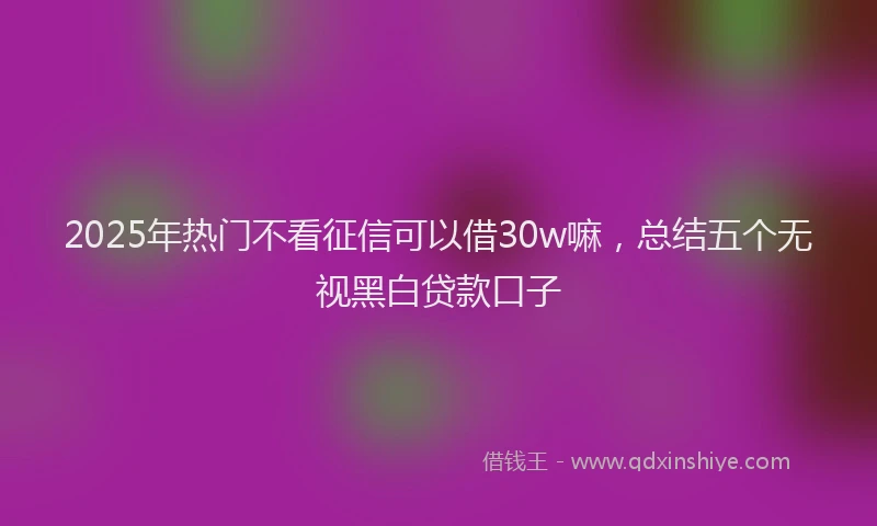 2025年热门不看征信可以借30w嘛，总结五个无视黑白贷款口子