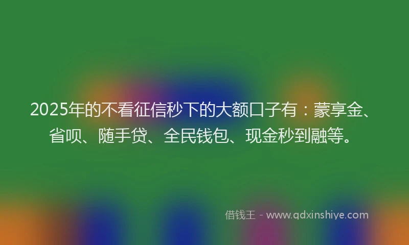 2025年的不看征信秒下的大额口子有：蒙享金、省呗、随手贷、全民钱包、现金秒到融等。