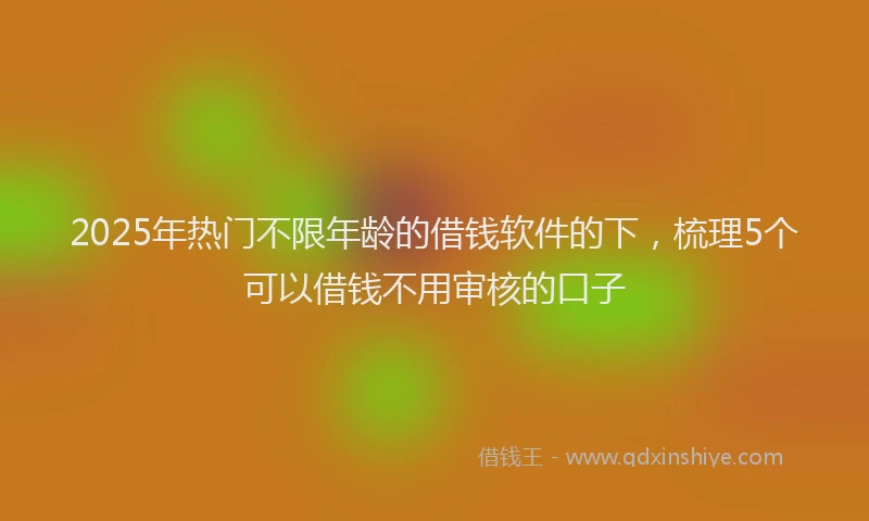 2025年热门不限年龄的借钱软件的下，梳理5个可以借钱不用审核的口子