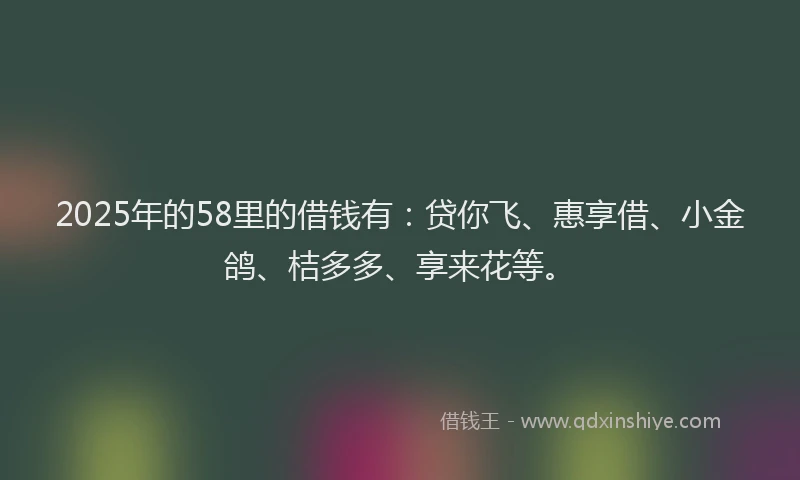 2025年的58里的借钱有：贷你飞、惠享借、小金鸽、桔多多、享来花等。
